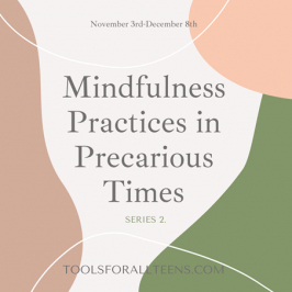 Mindfulness in Precarious Times – Series 2