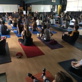 Yoga and Mindfulness Workshops