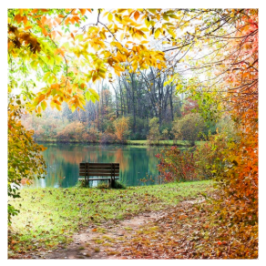 The Earth Meditation: a 3-minute meditation